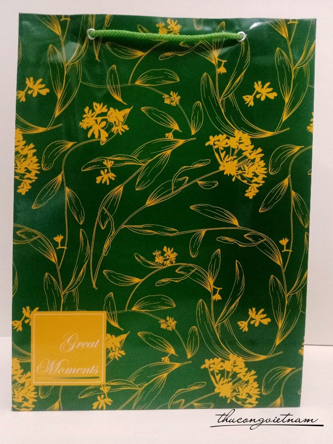 Túi giấy đựng quà L19 30x40x12cm